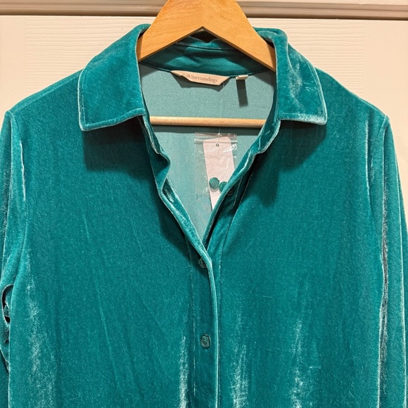 NWT Soft Surroundings Velvet Boyfriend Tunic Top Women’s S Button Up Green Boho - Picture 5 of 11